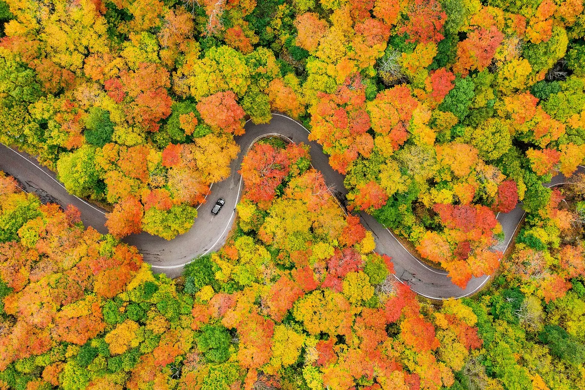 Aerial view of a road winding through orange, red and yellow autumn trees