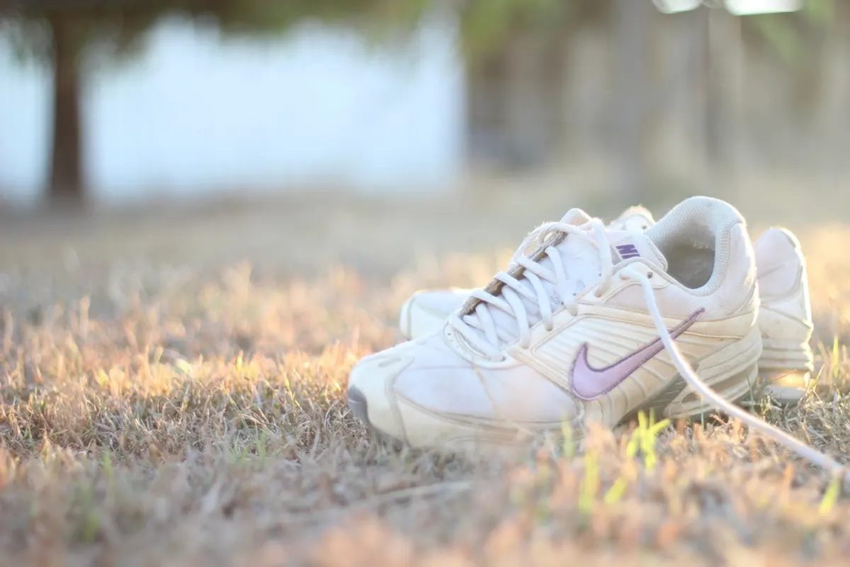 White trainers resting on sunlit grass, ready for a walk